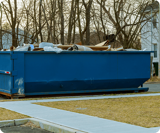 Dumpster near leafless trees